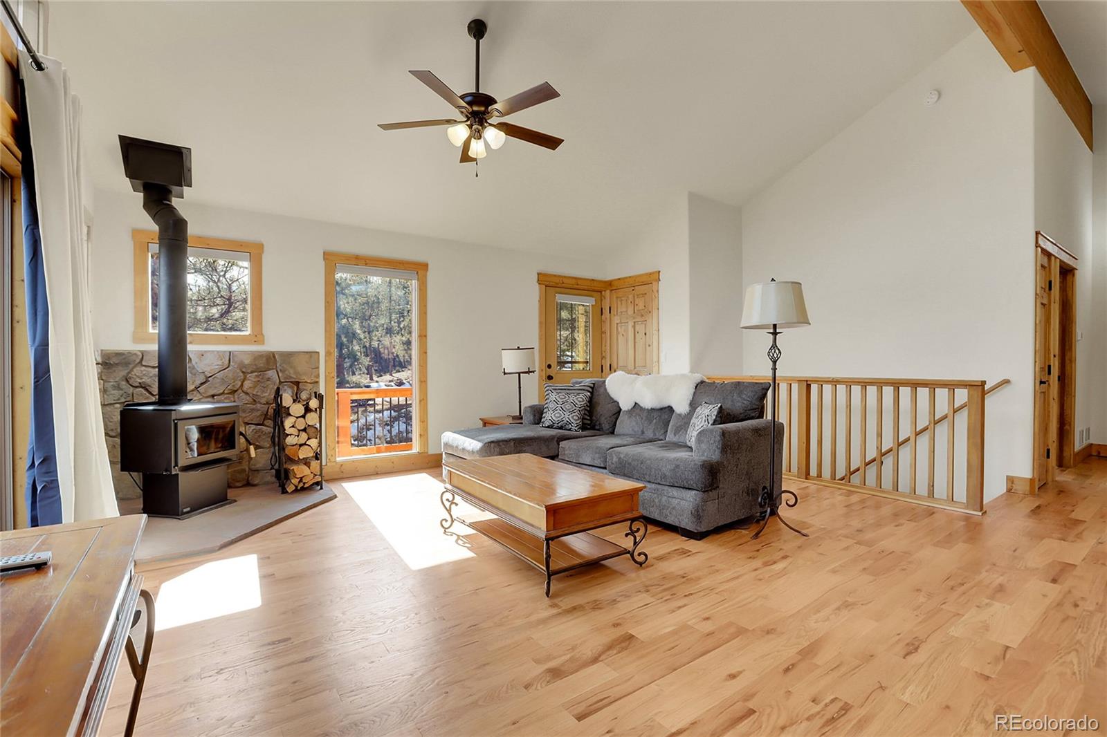 MLS Image #5 for 16348  ouray road,pine, Colorado