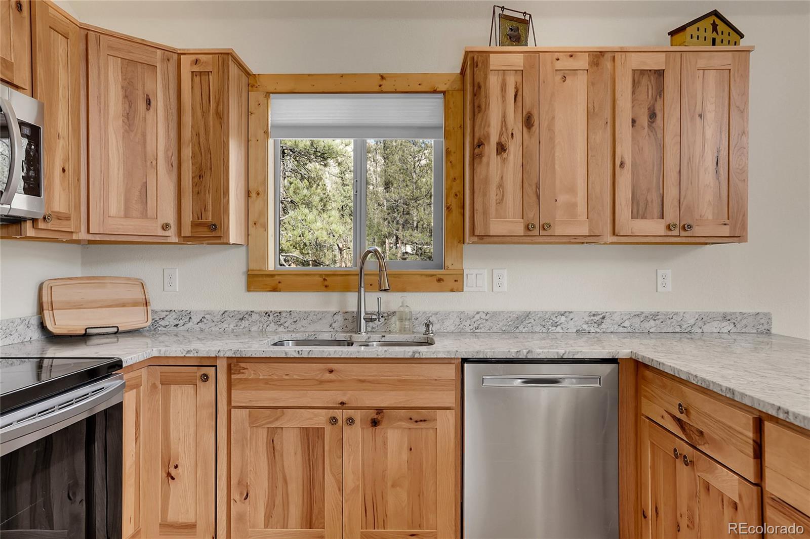 MLS Image #9 for 16348  ouray road,pine, Colorado