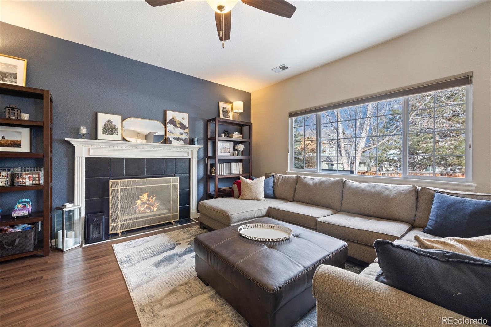 MLS Image #10 for 1043  thornbury place,highlands ranch, Colorado