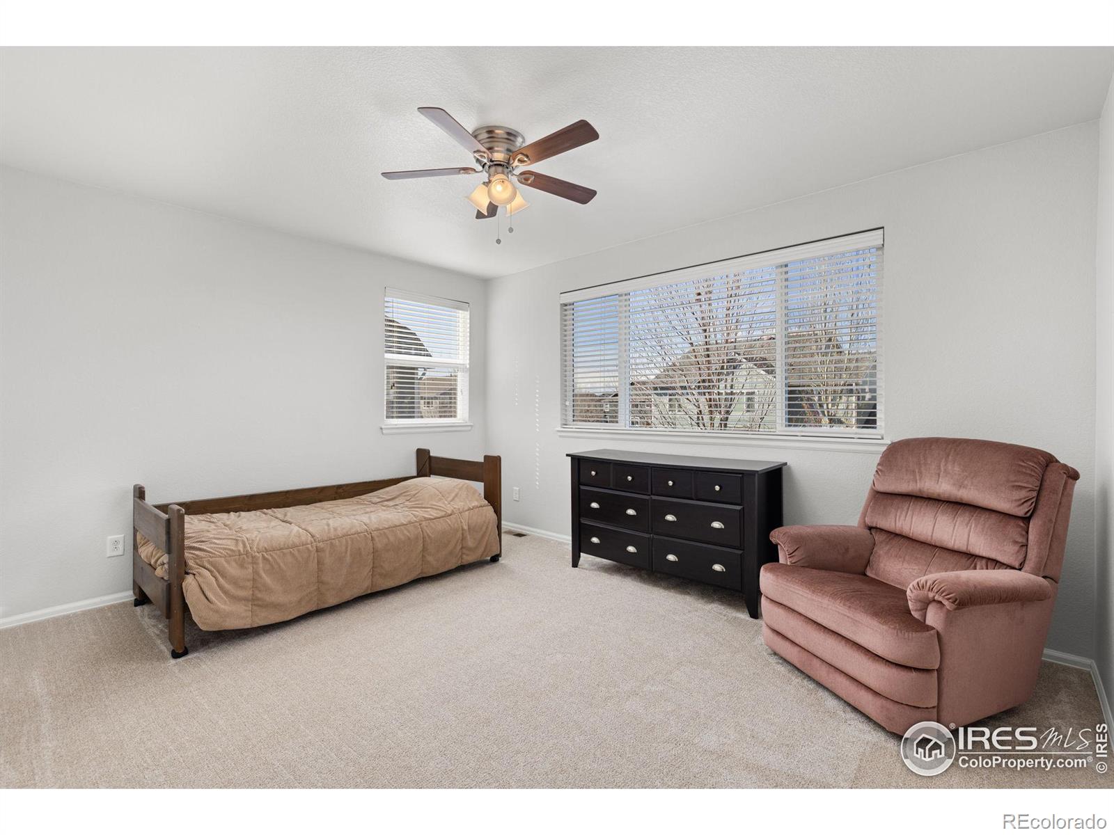 MLS Image #24 for 5871  banner street,timnath, Colorado