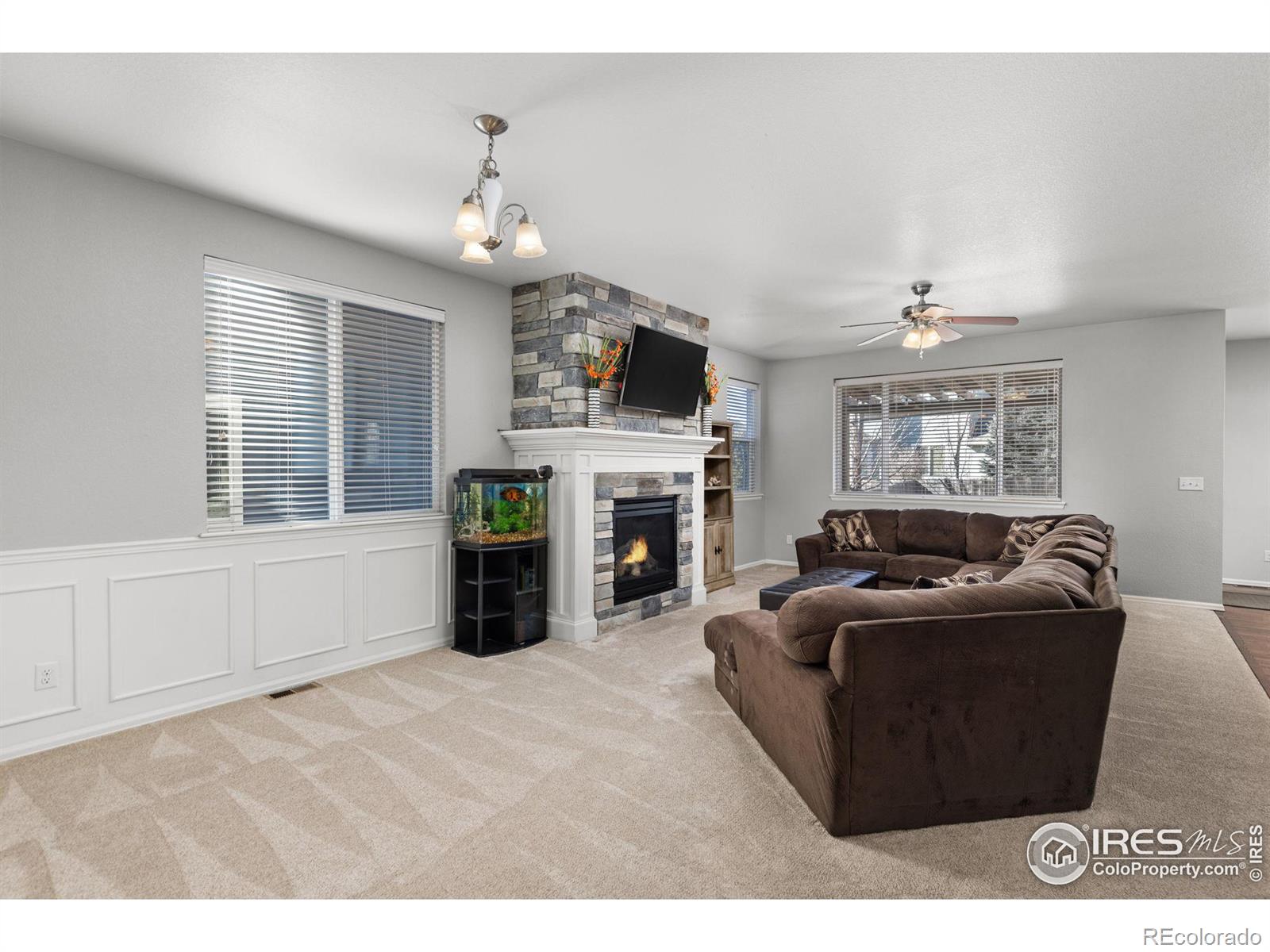 MLS Image #3 for 5871  banner street,timnath, Colorado
