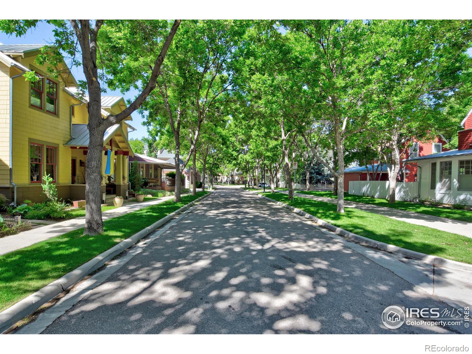 MLS Image #33 for 1110  neon forest circle,longmont, Colorado