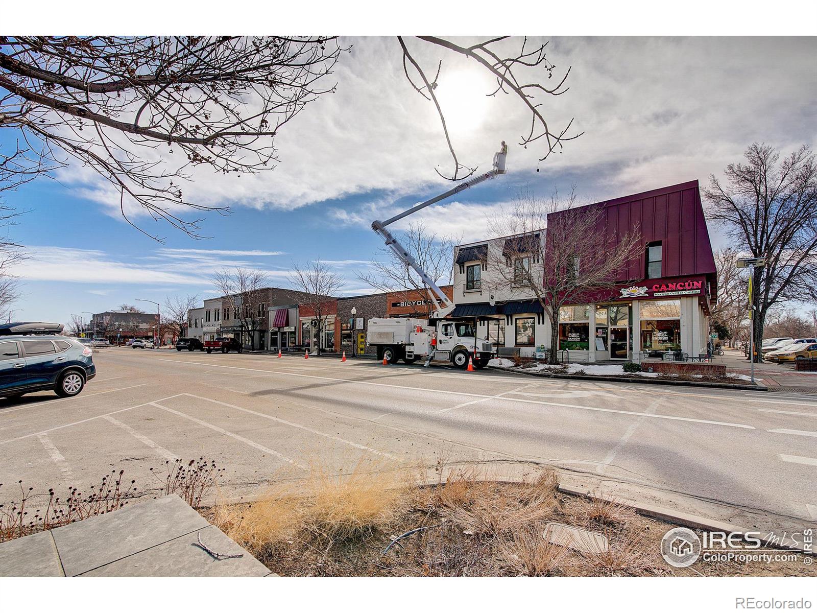 MLS Image #35 for 1121  walnut street,windsor, Colorado