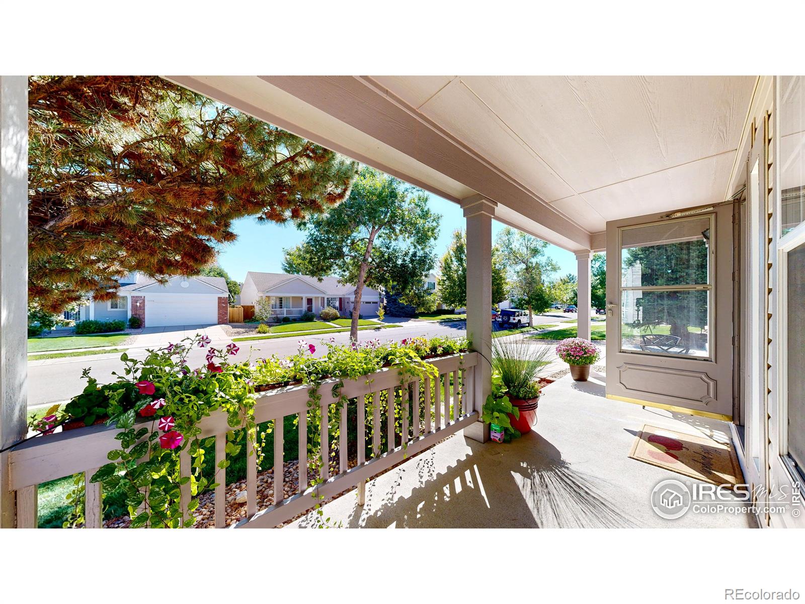 MLS Image #25 for 3335 s nelson street,lakewood, Colorado
