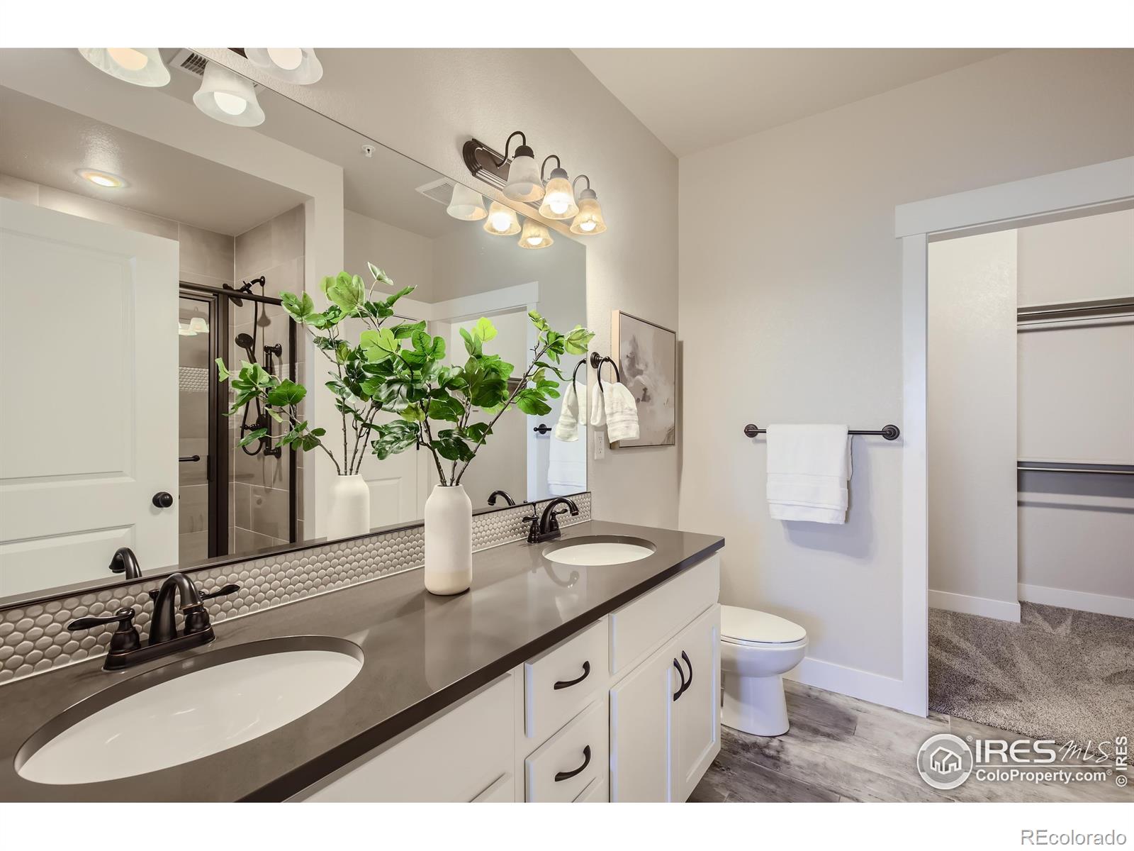 MLS Image #13 for 6672  crystal downs drive,windsor, Colorado