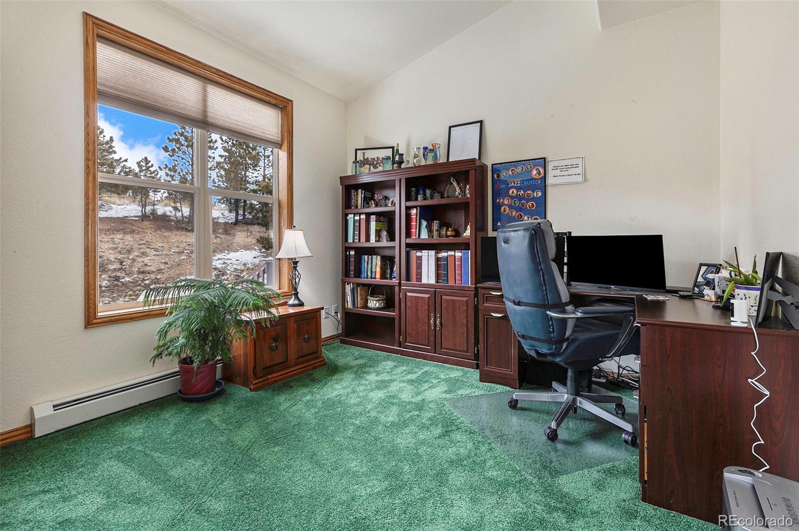 MLS Image #15 for 299  long ridge drive,bailey, Colorado