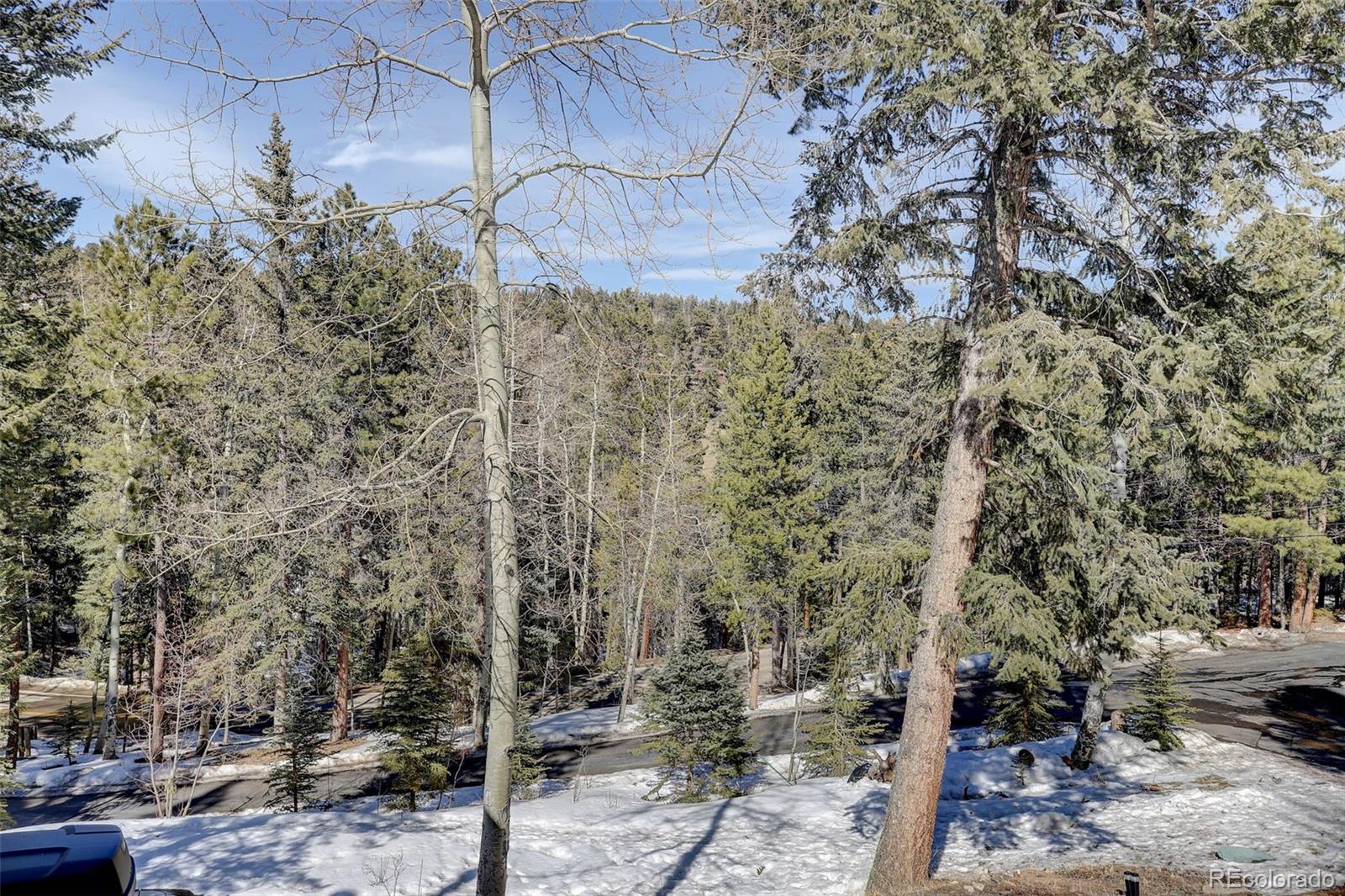 MLS Image #31 for 2094  old squaw pass road,evergreen, Colorado
