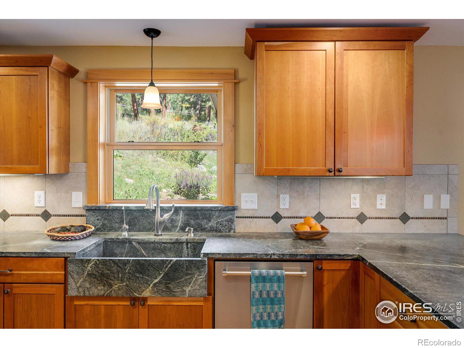 MLS Image #10 for 845  cold springs road,nederland, Colorado