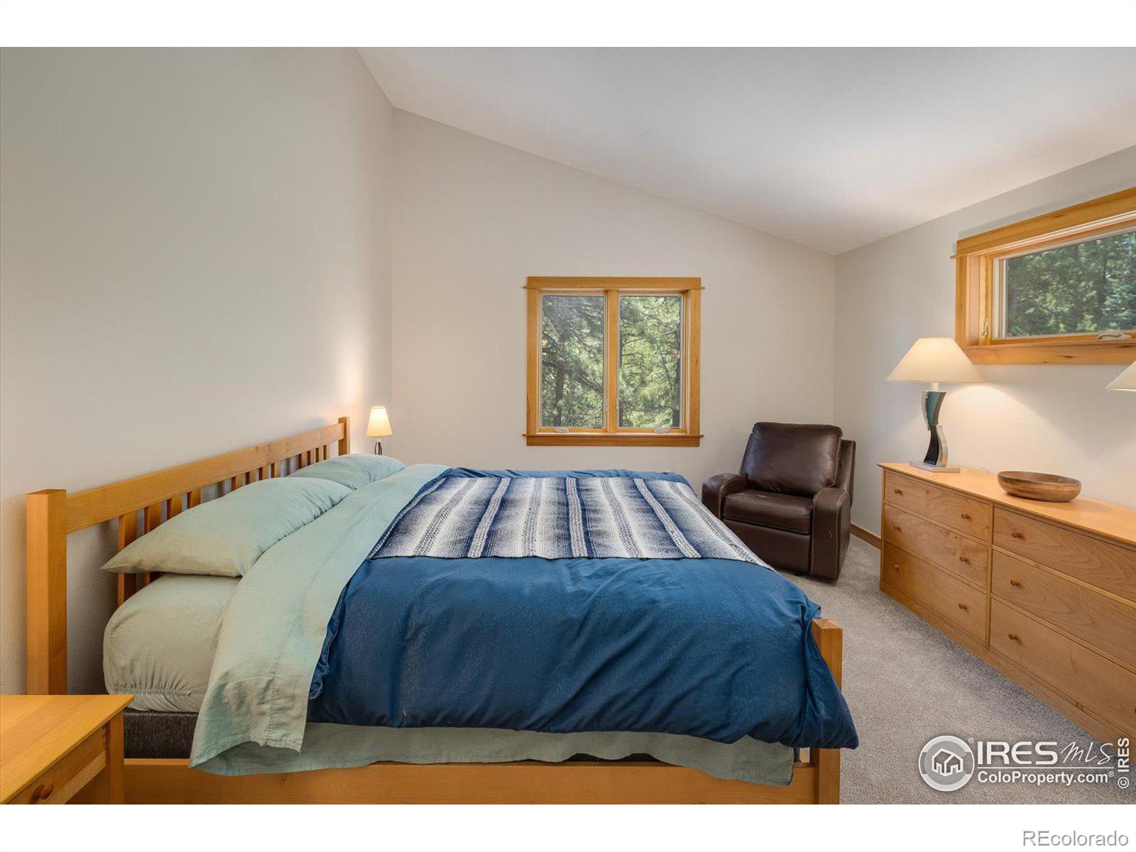 MLS Image #15 for 845  cold springs road,nederland, Colorado