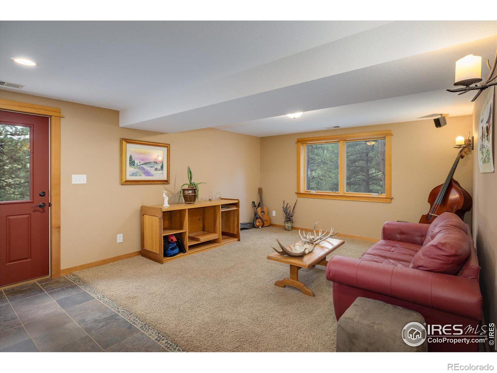 MLS Image #20 for 845  cold springs road,nederland, Colorado