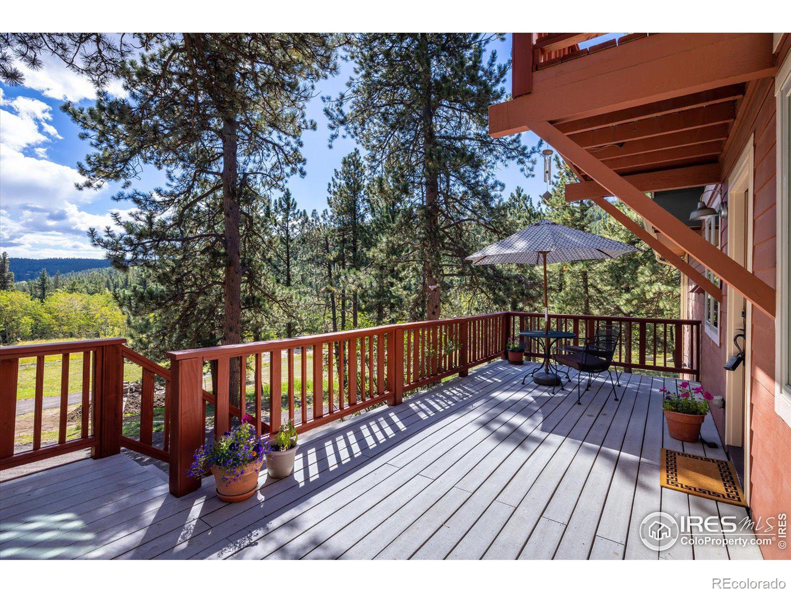 MLS Image #23 for 845  cold springs road,nederland, Colorado