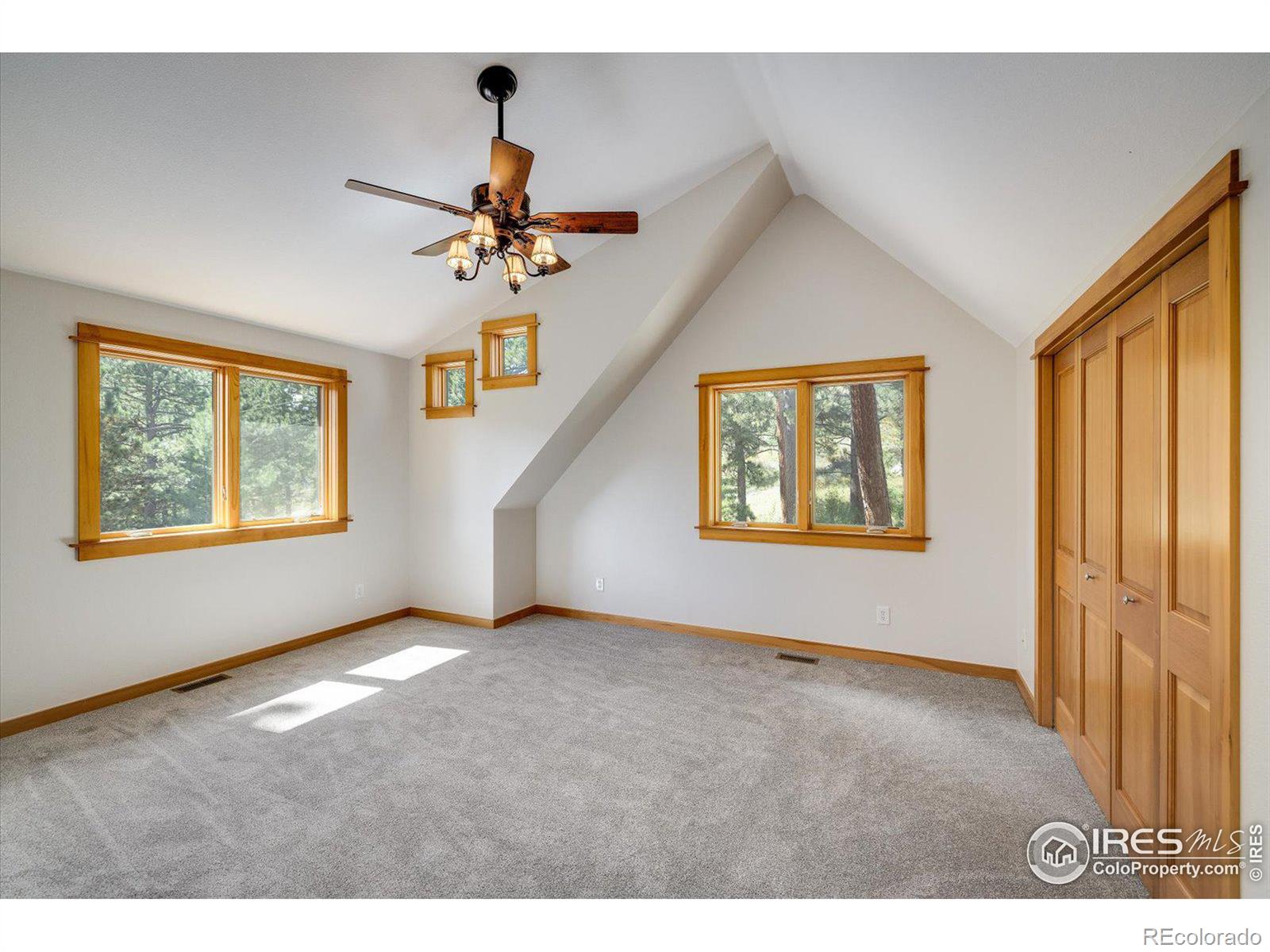 MLS Image #24 for 845  cold springs road,nederland, Colorado