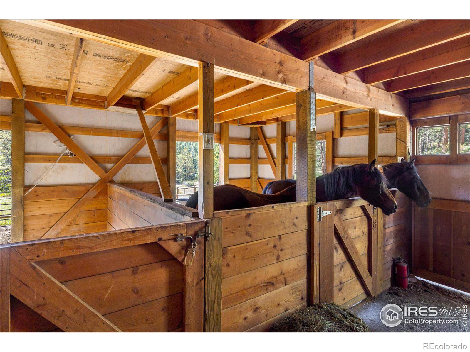 MLS Image #33 for 845  cold springs road,nederland, Colorado