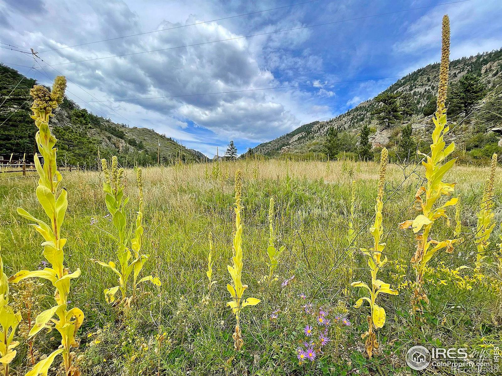 MLS Image #39 for 12615  county road 43 ,drake, Colorado