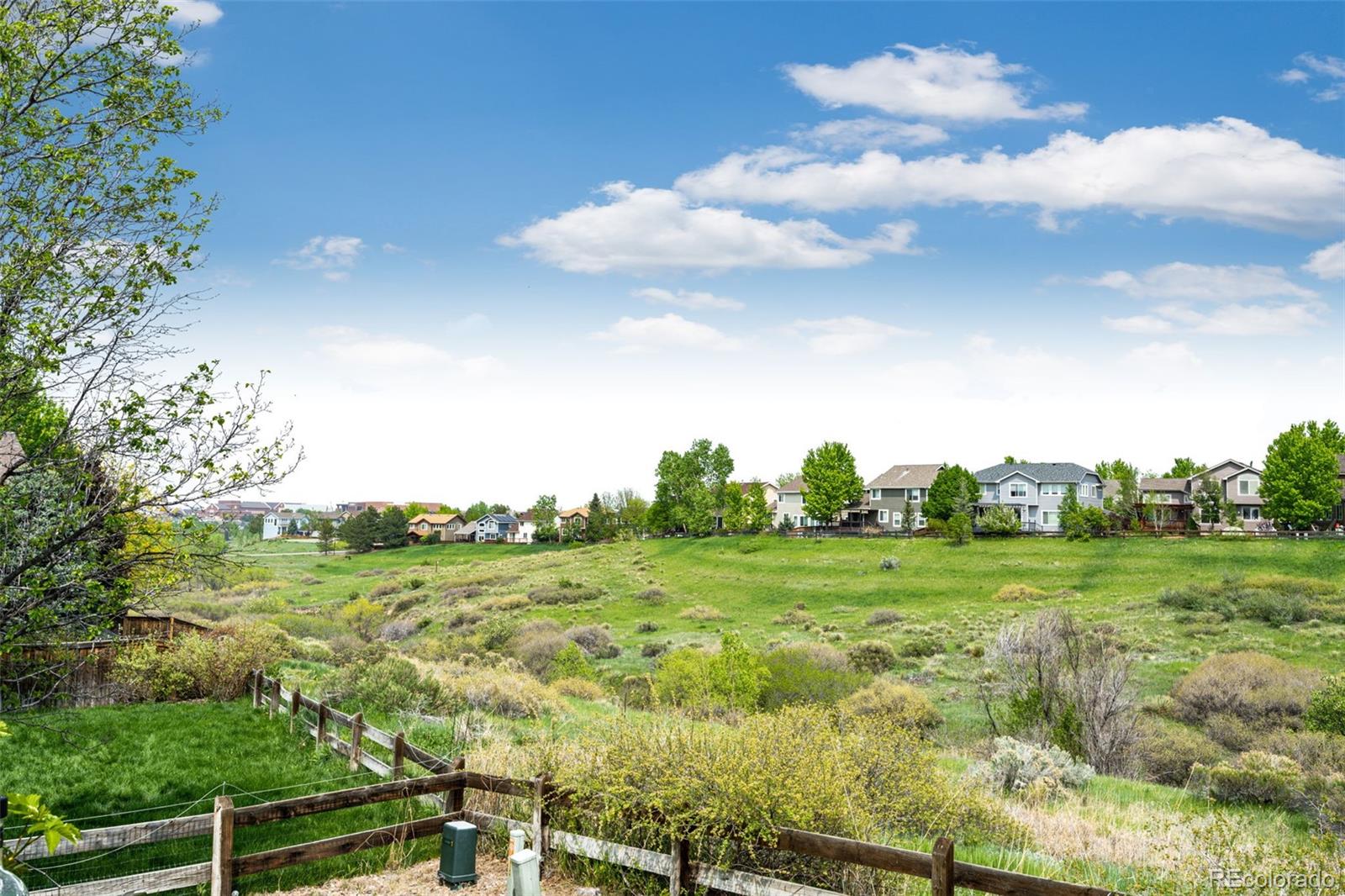 MLS Image #17 for 10144  rustic redwood way,highlands ranch, Colorado