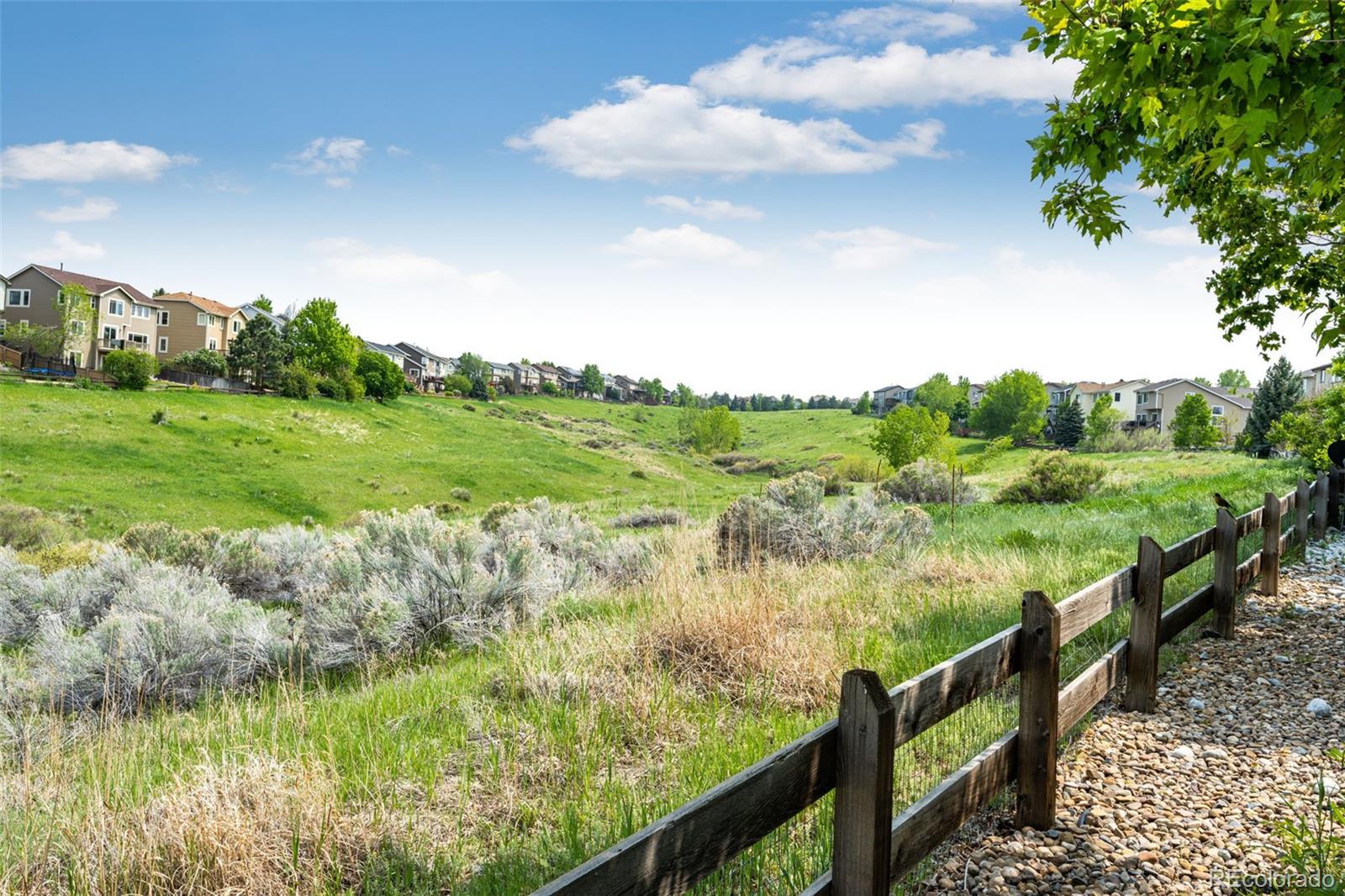 MLS Image #35 for 10144  rustic redwood way,highlands ranch, Colorado