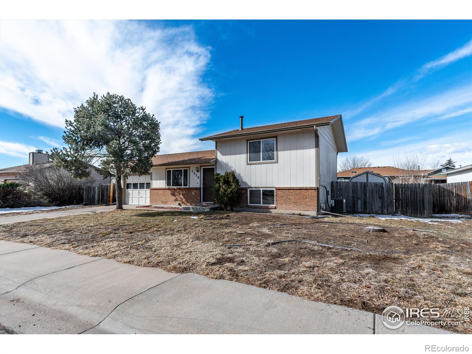 Report Image for 1028  Larch Drive,Windsor, Colorado