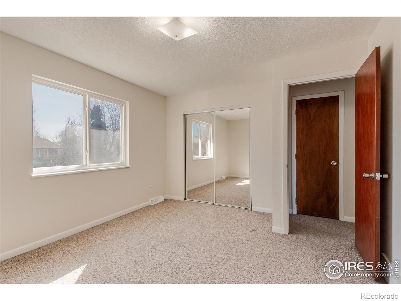 MLS Image #18 for 1028  larch drive,windsor, Colorado