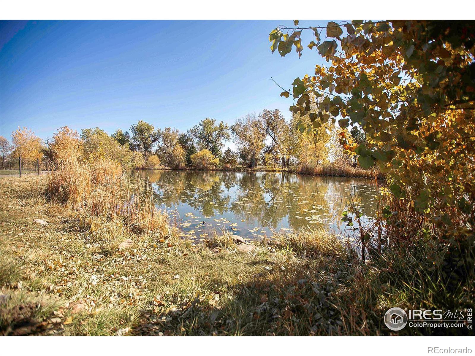 MLS Image #38 for 1028  larch drive,windsor, Colorado