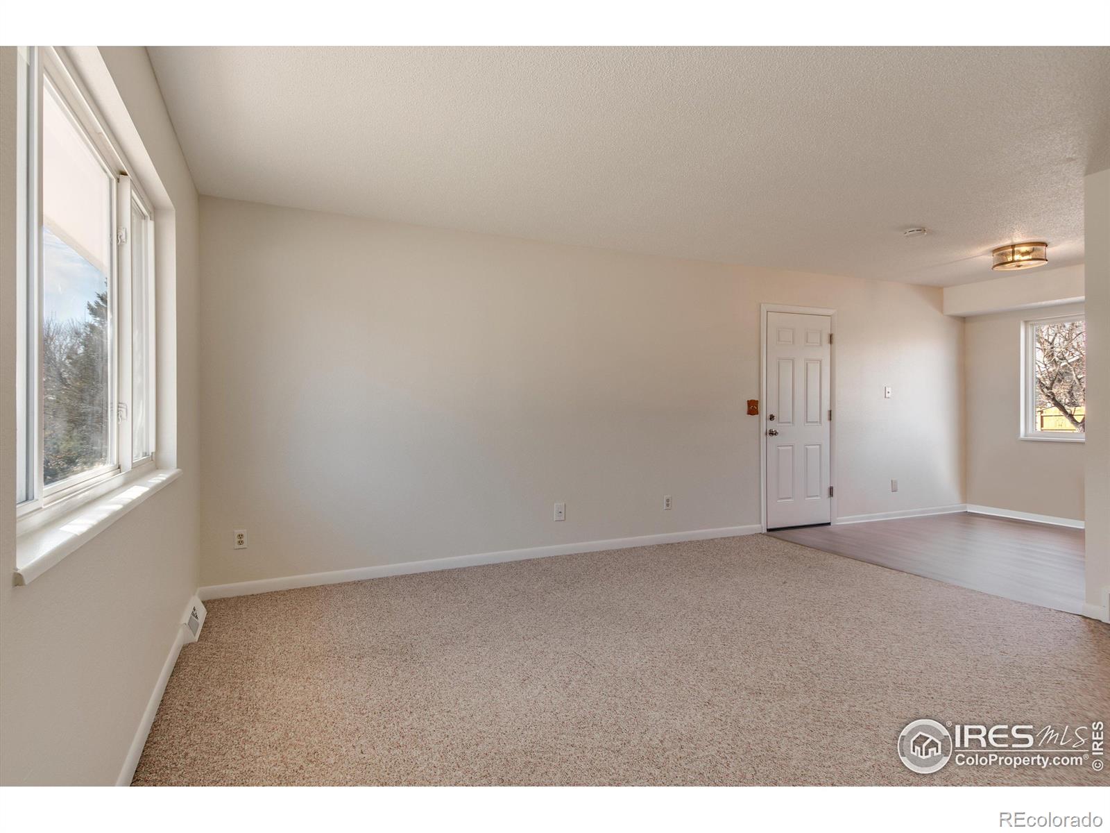 MLS Image #4 for 1028  larch drive,windsor, Colorado