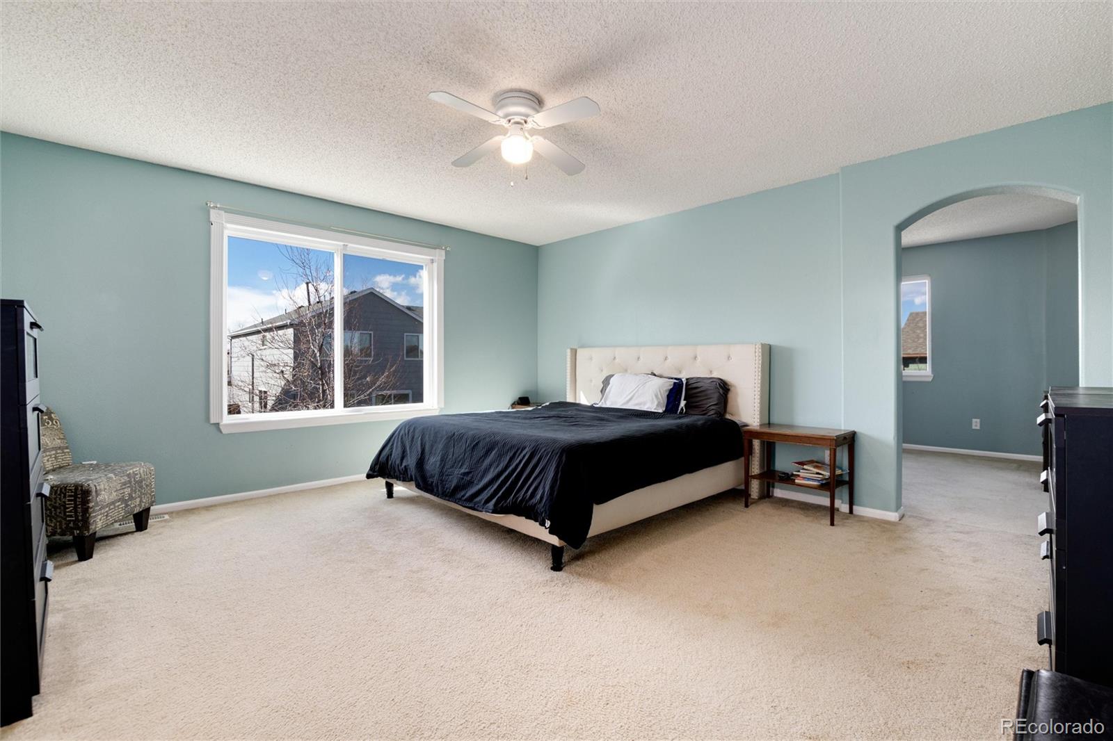 MLS Image #22 for 303  chelsea street,castle rock, Colorado