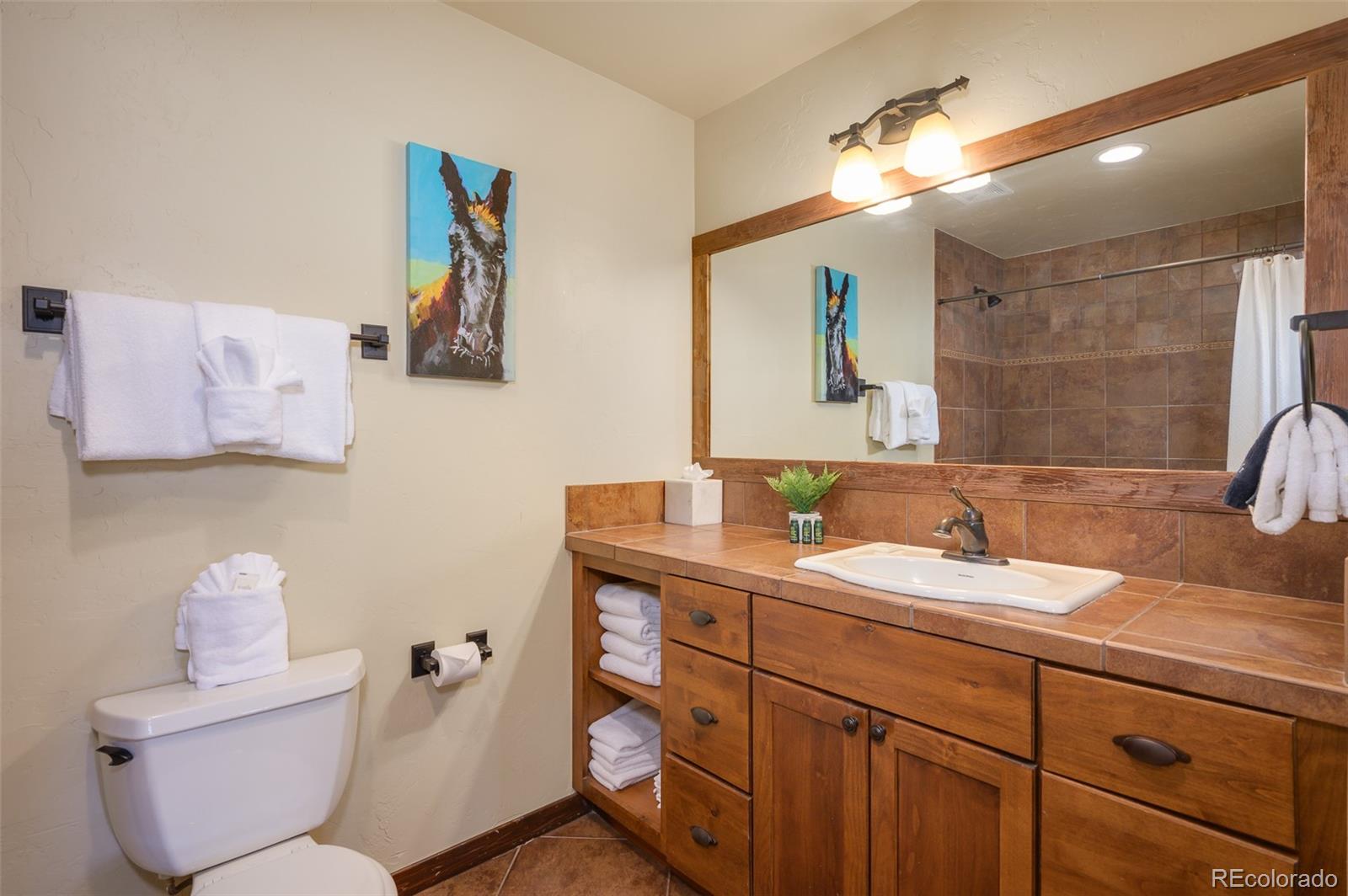 MLS Image #24 for 29  cozens pointe cir ,fraser, Colorado