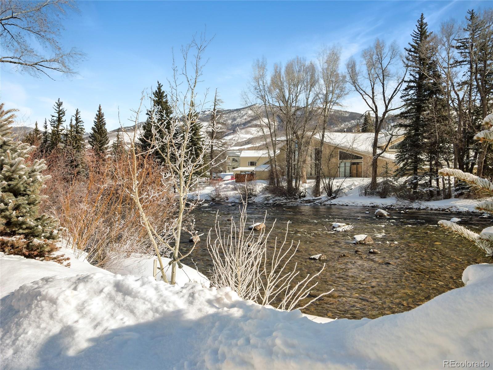 MLS Image #12 for 740  blue river parkway ,silverthorne, Colorado