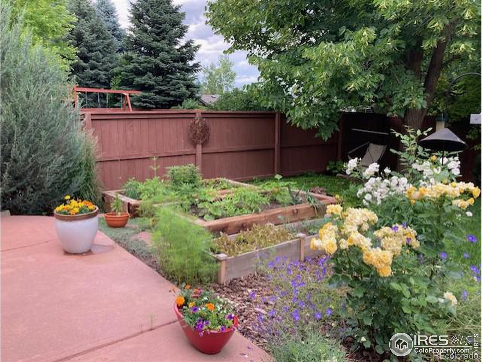 MLS Image #30 for 332  driftwood circle,lafayette, Colorado