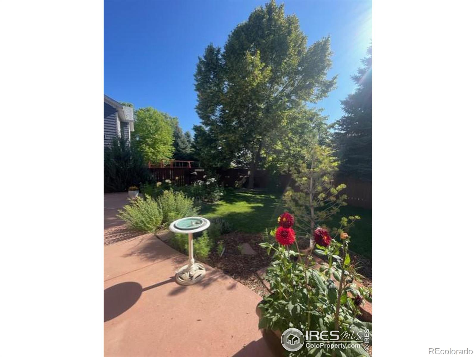 MLS Image #33 for 332  driftwood circle,lafayette, Colorado