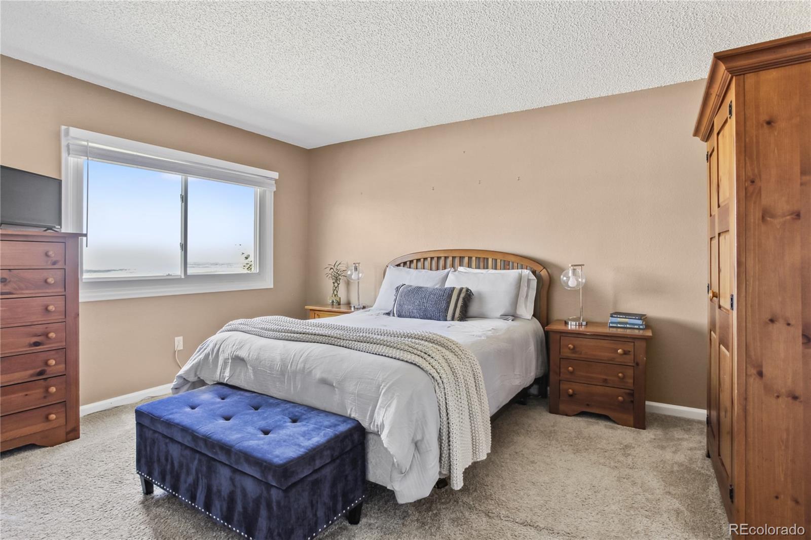 MLS Image #13 for 6970  buckskin drive ,littleton, Colorado