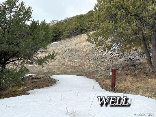 MLS Image #30 for 950  haven road,westcliffe, Colorado