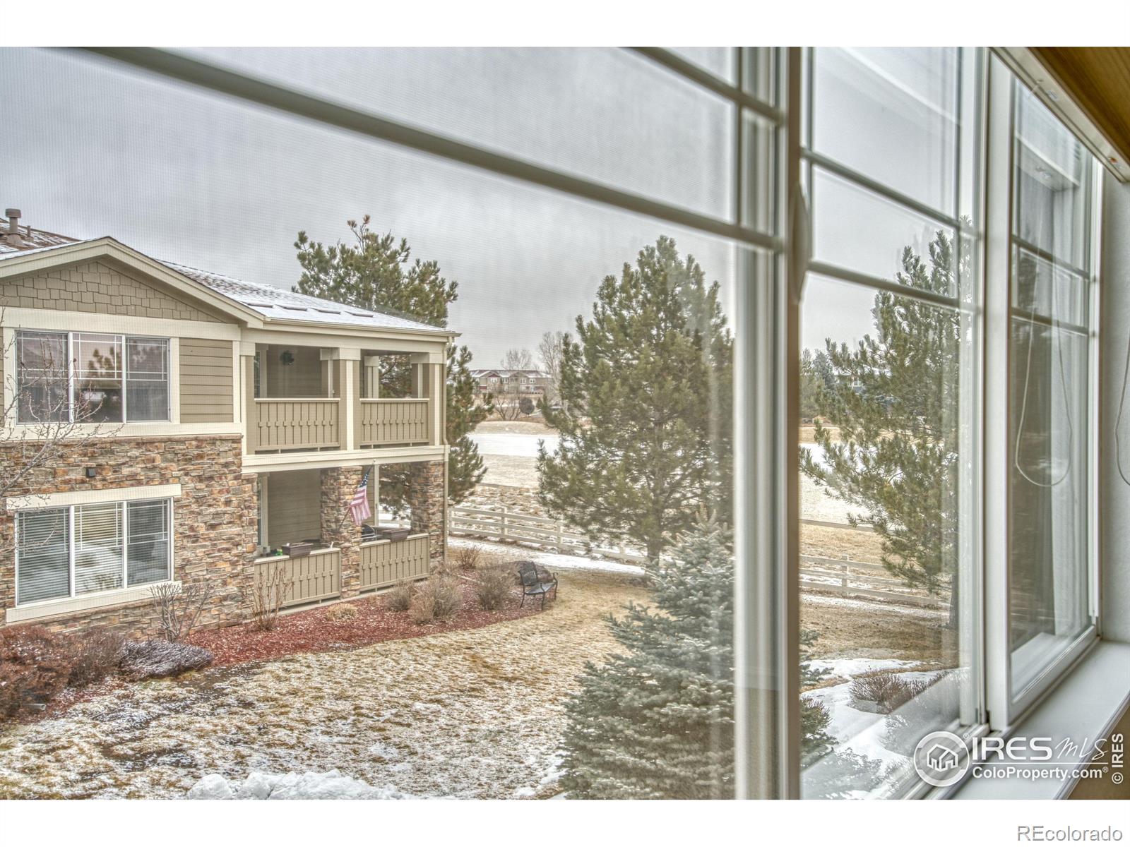 MLS Image #16 for 14122  sun blaze loop,broomfield, Colorado