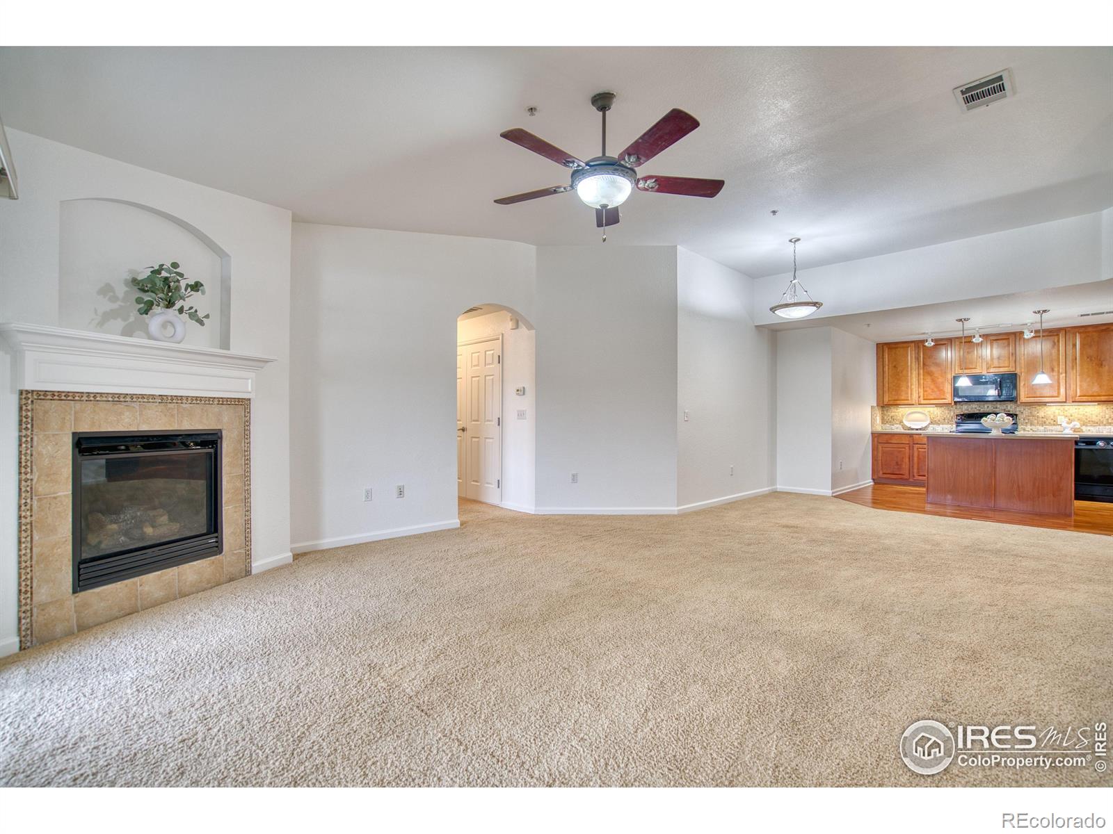 MLS Image #2 for 14122  sun blaze loop,broomfield, Colorado