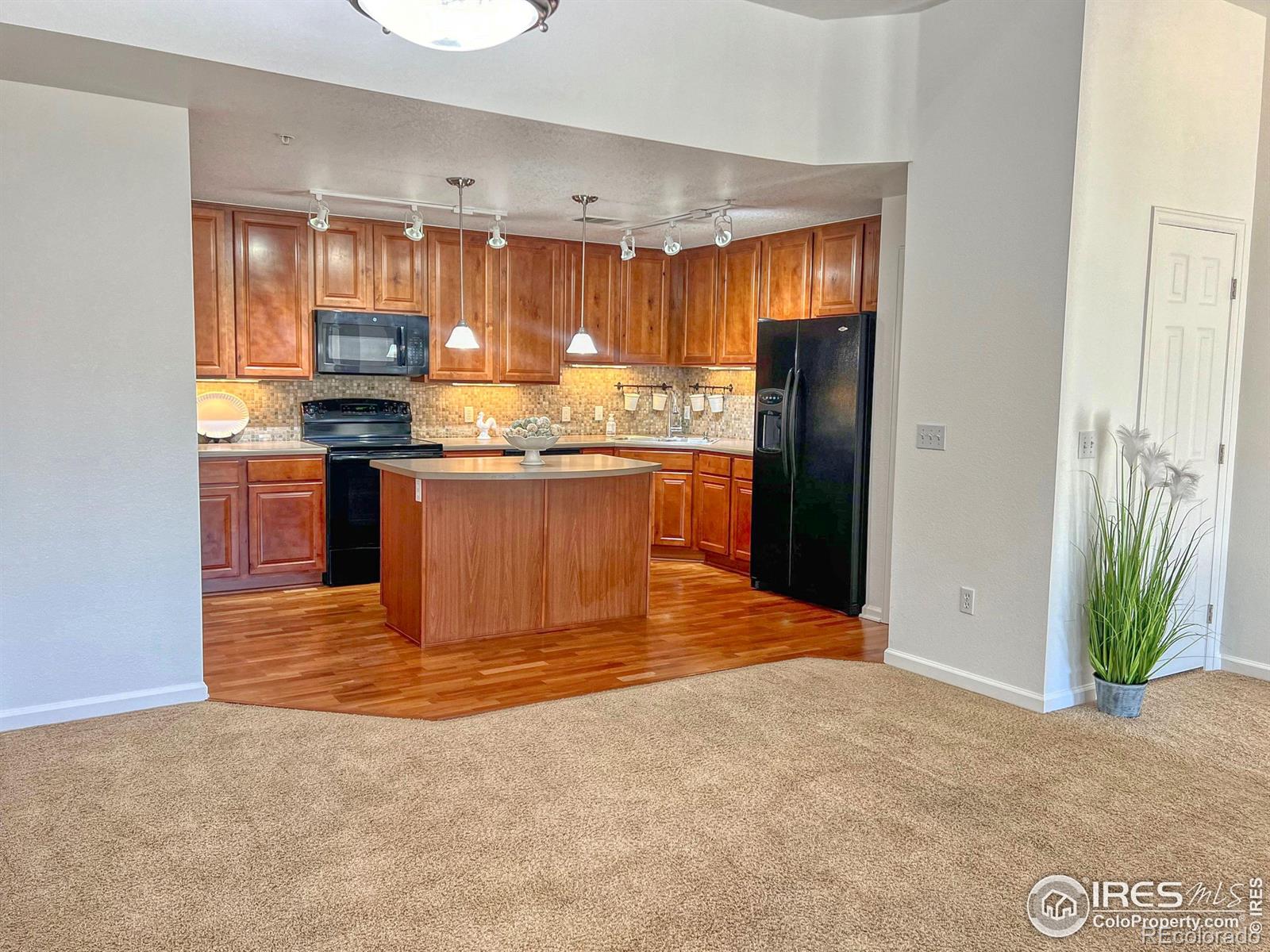 MLS Image #6 for 14122  sun blaze loop,broomfield, Colorado