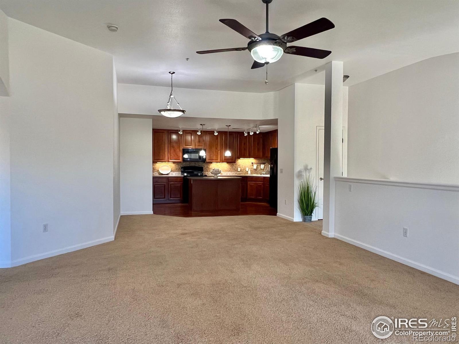 MLS Image #7 for 14122  sun blaze loop,broomfield, Colorado