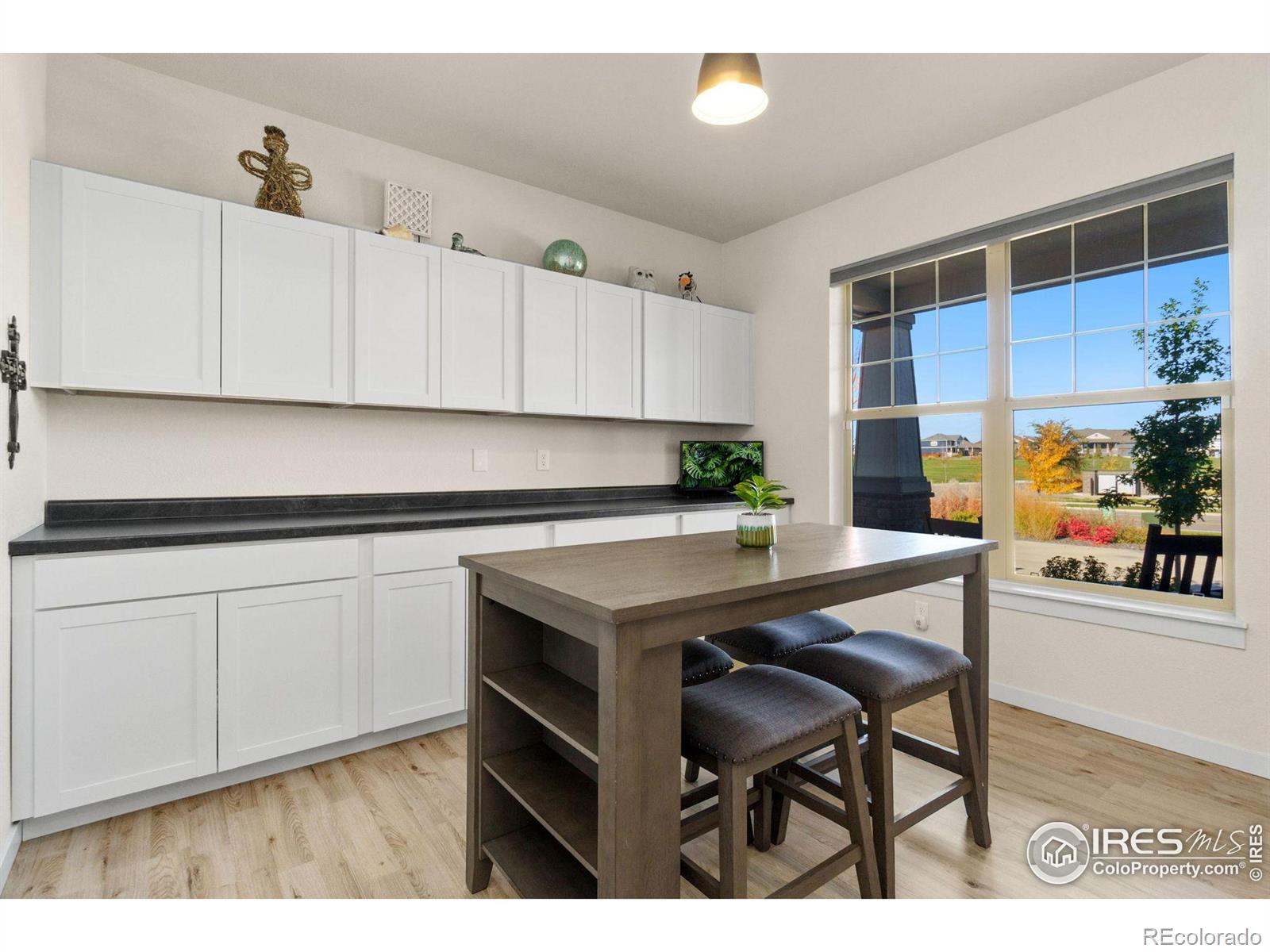 MLS Image #30 for 1701  heirloom drive,windsor, Colorado