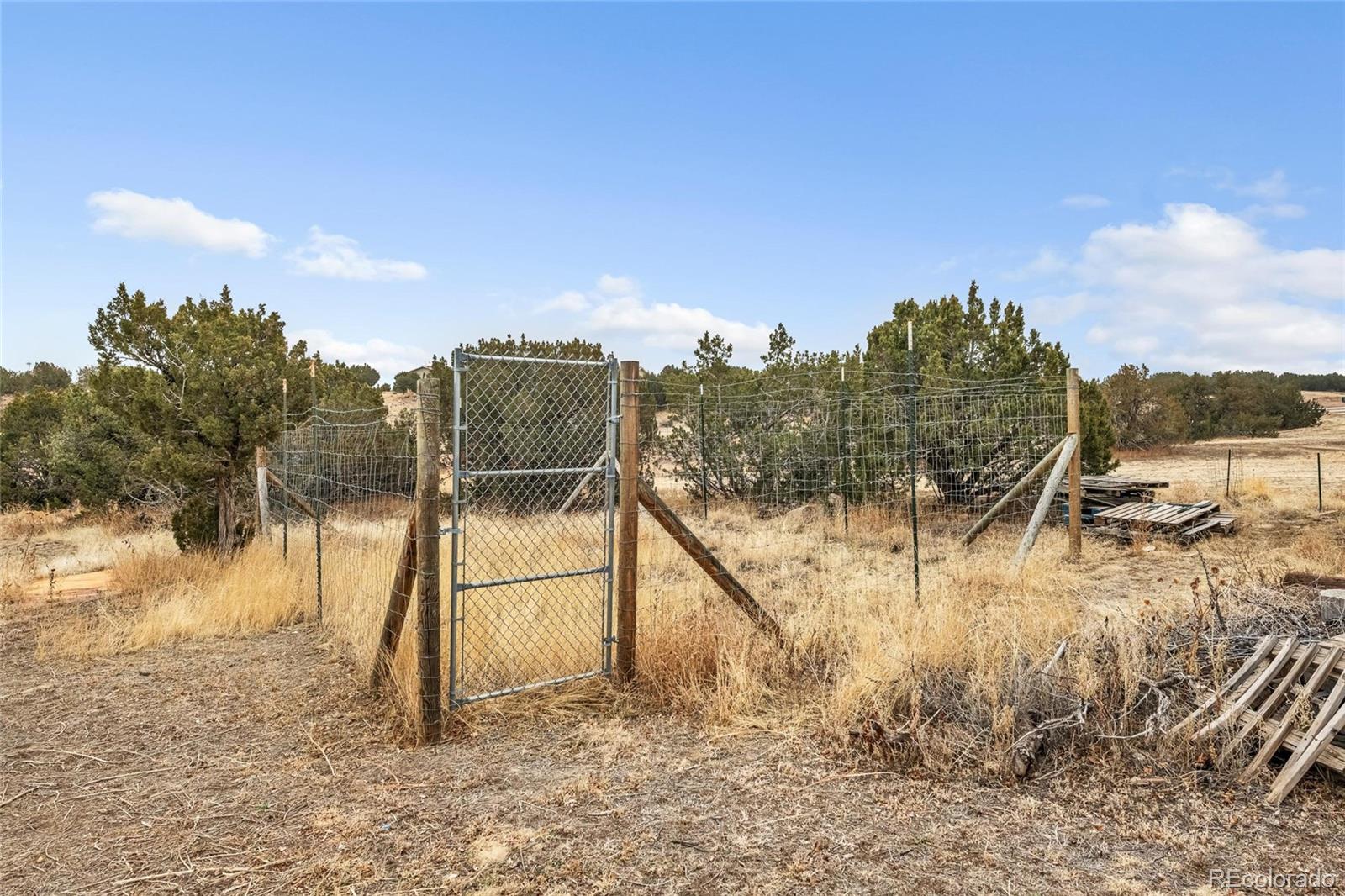 MLS Image #38 for 460  twin pines avenue,rockvale, Colorado