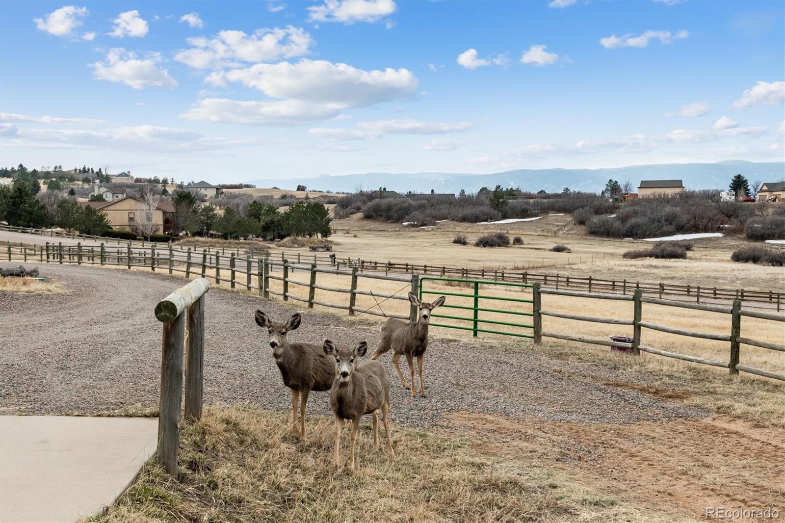 MLS Image #31 for 3961  bear canyon circle,sedalia, Colorado