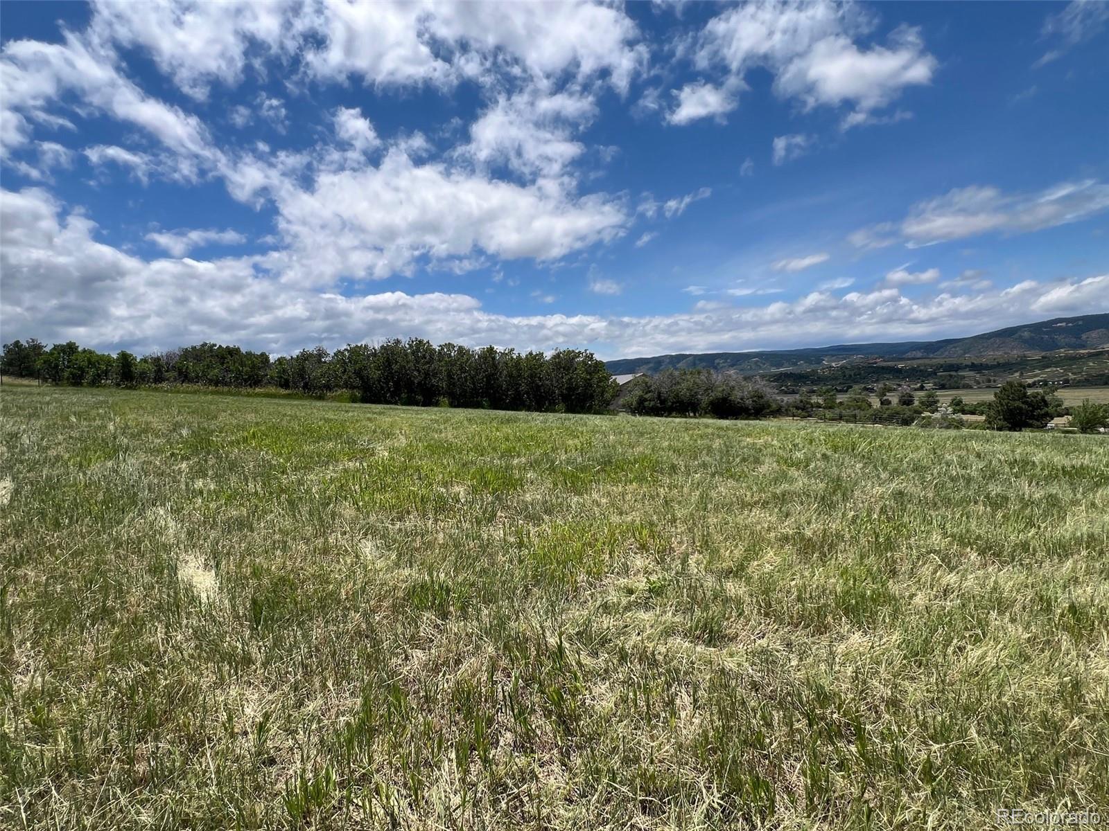 MLS Image #38 for 3961  bear canyon circle,sedalia, Colorado