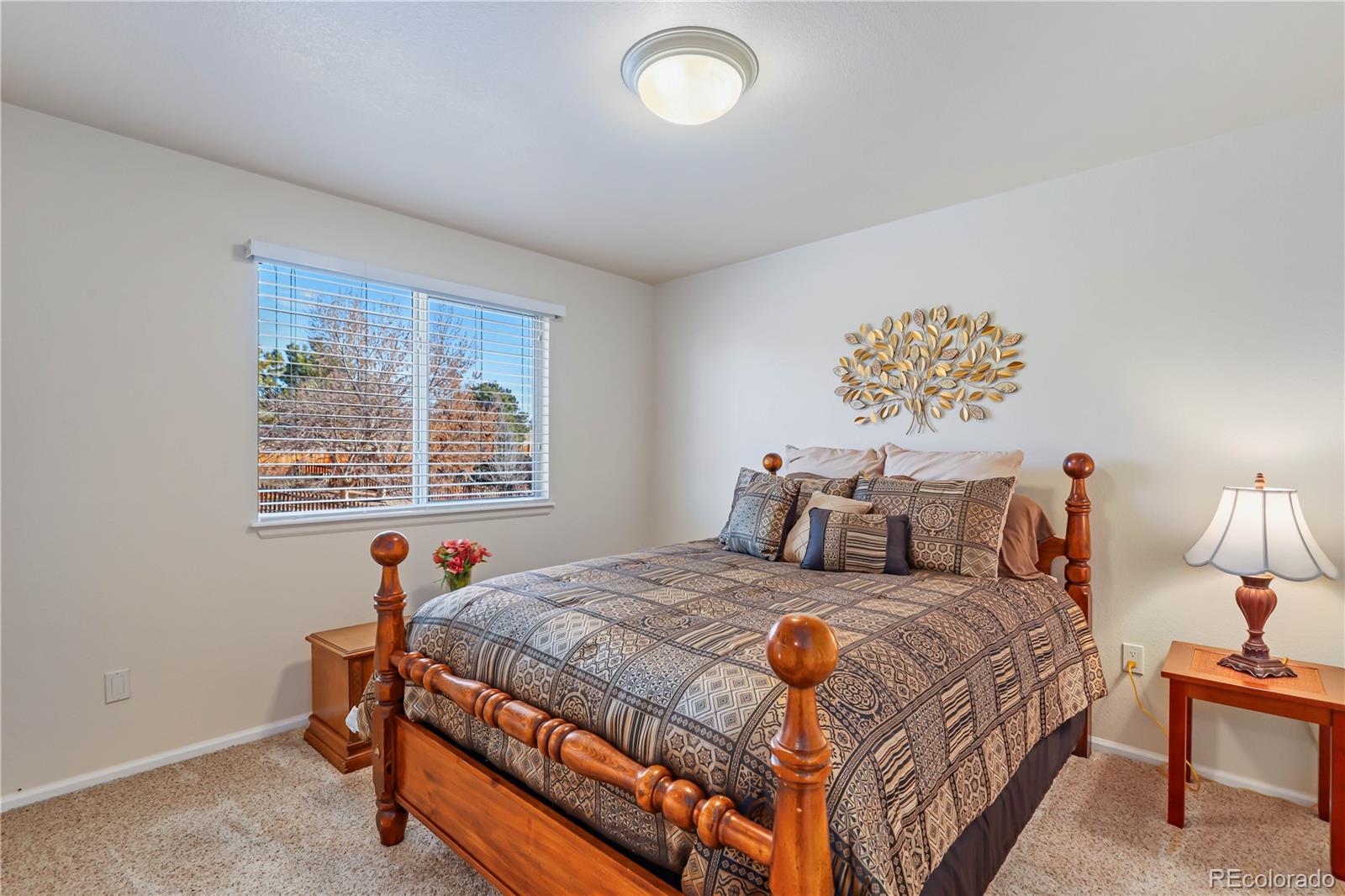 MLS Image #18 for 21825  saddlebrook drive,parker, Colorado