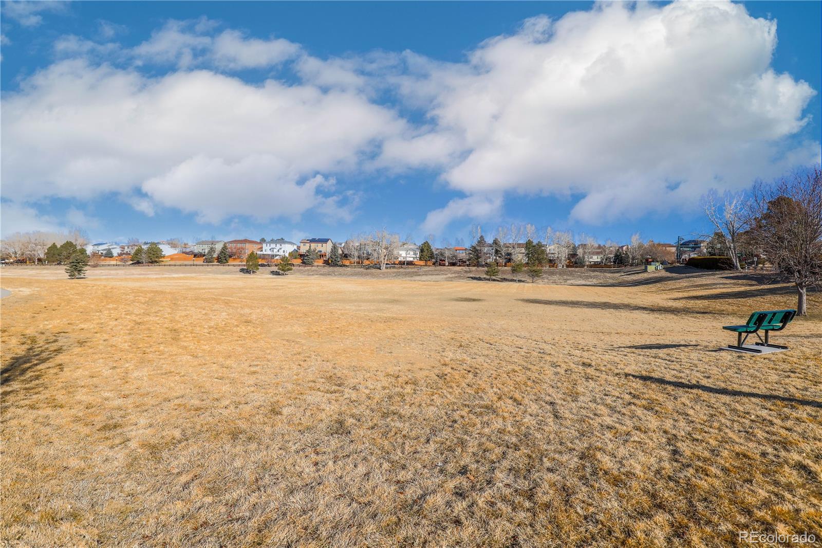 MLS Image #25 for 21825  saddlebrook drive,parker, Colorado