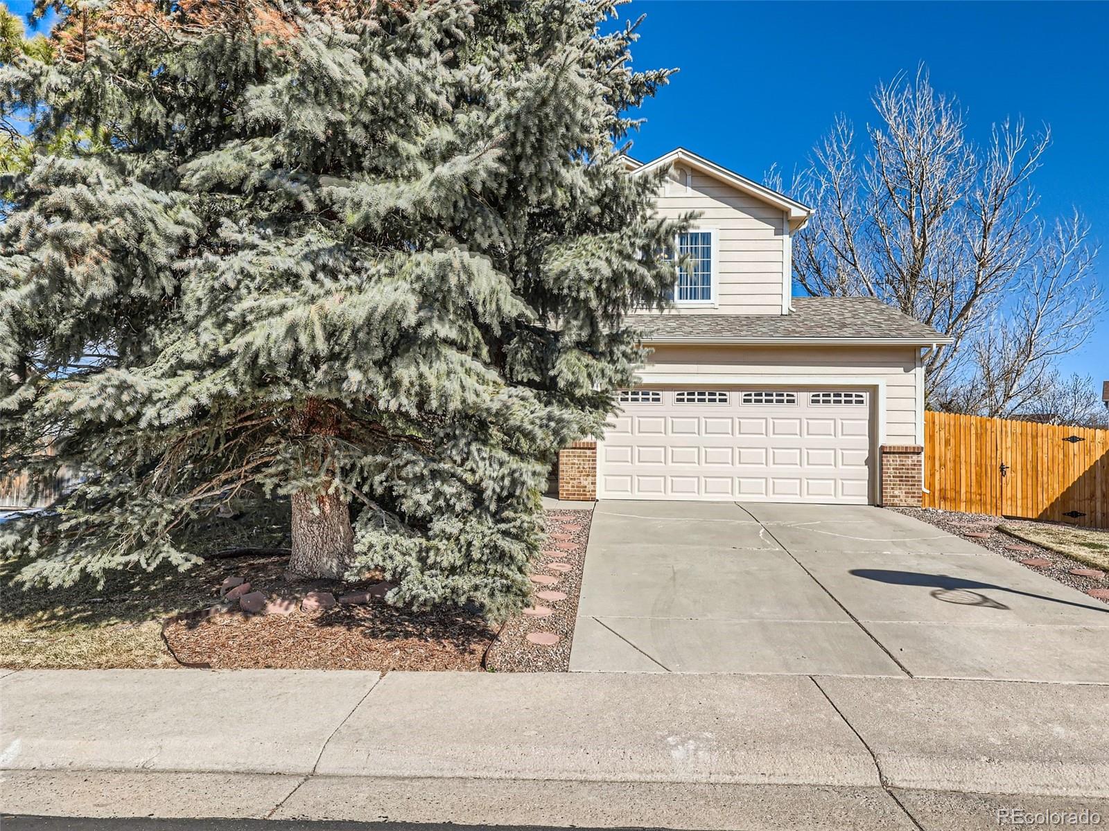 MLS Image #3 for 44  bristol street,castle rock, Colorado