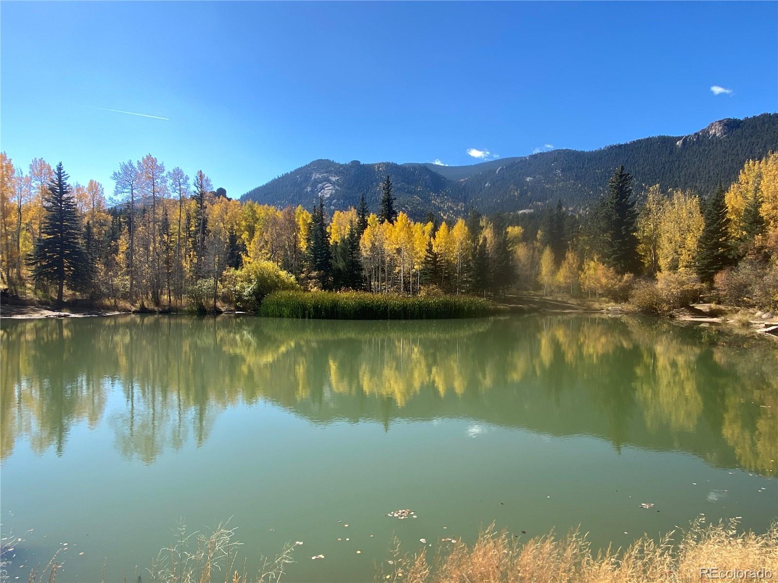 MLS Image #33 for 484  ponderosa view,manitou springs, Colorado