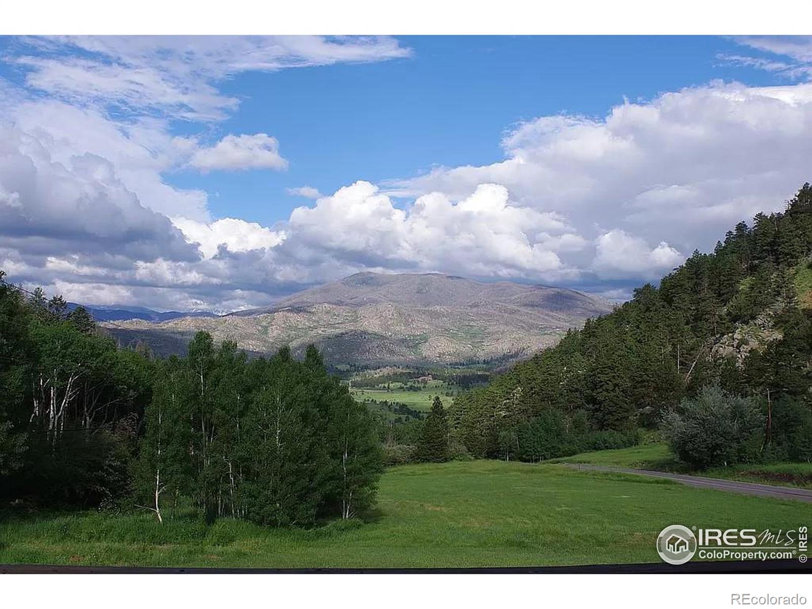 MLS Image #0 for 16705  rist canyon road,bellvue, Colorado