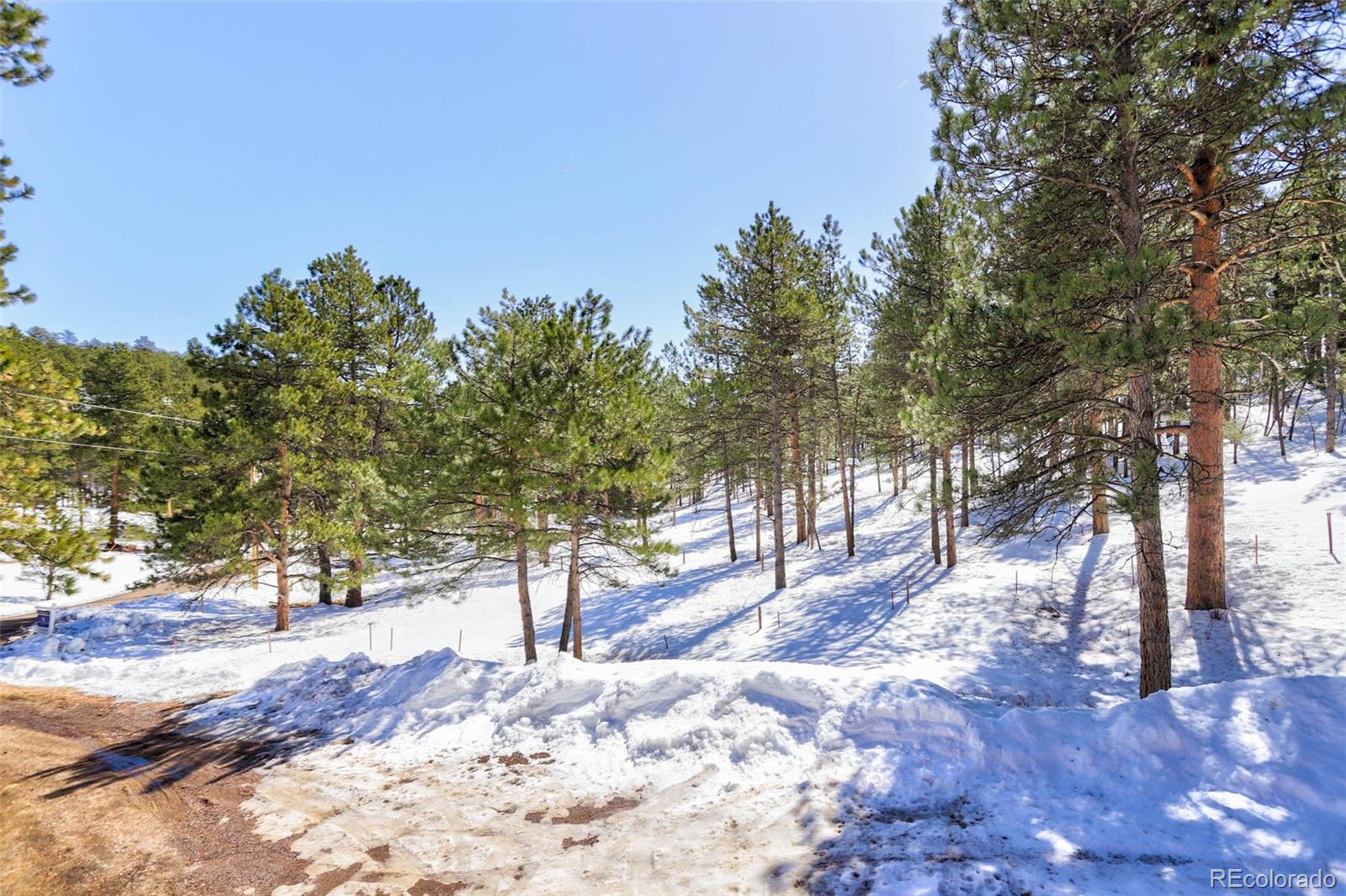 MLS Image #49 for 27292  hill top drive,evergreen, Colorado