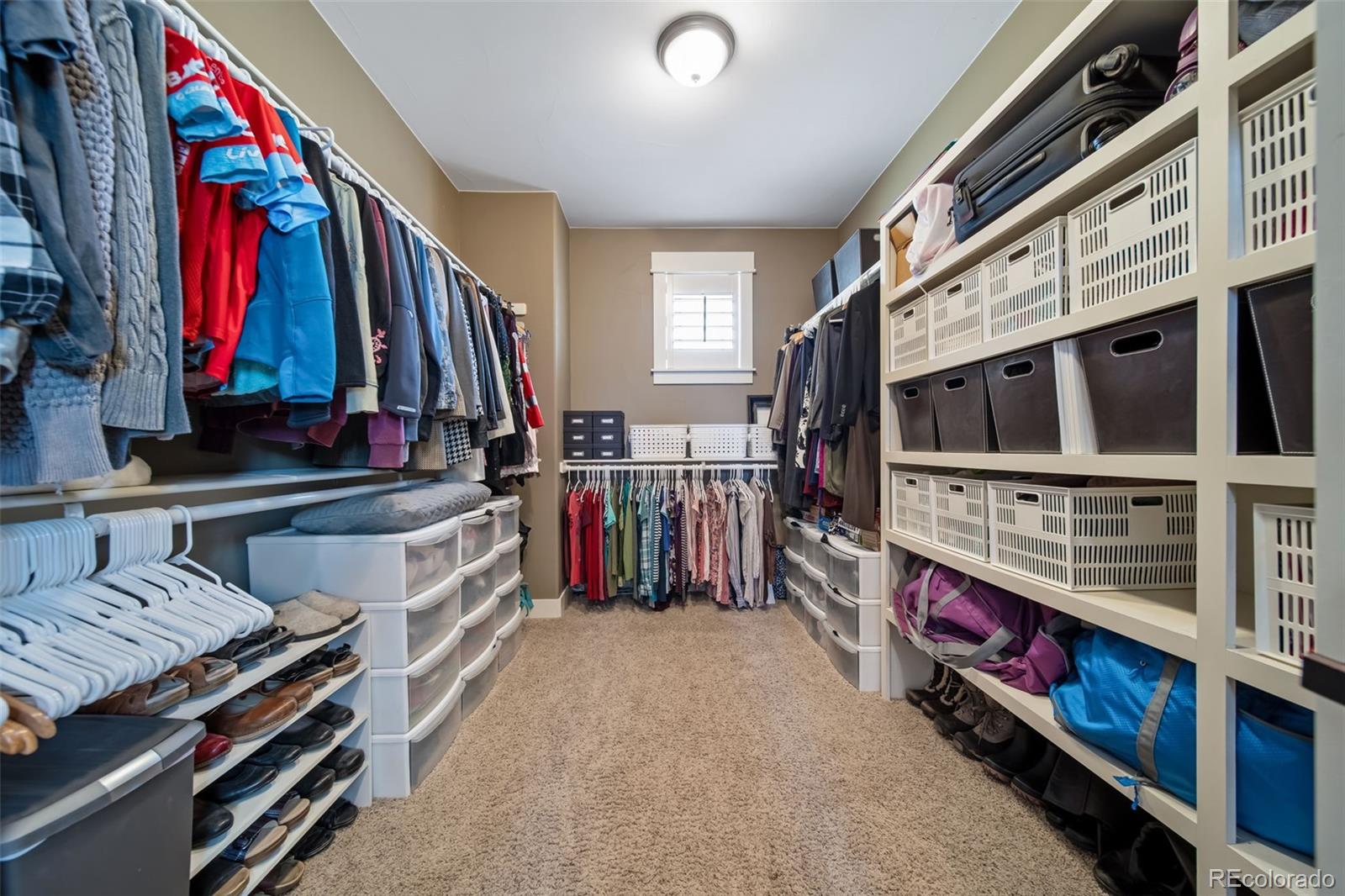 MLS Image #23 for 6621  secretariat drive,longmont, Colorado