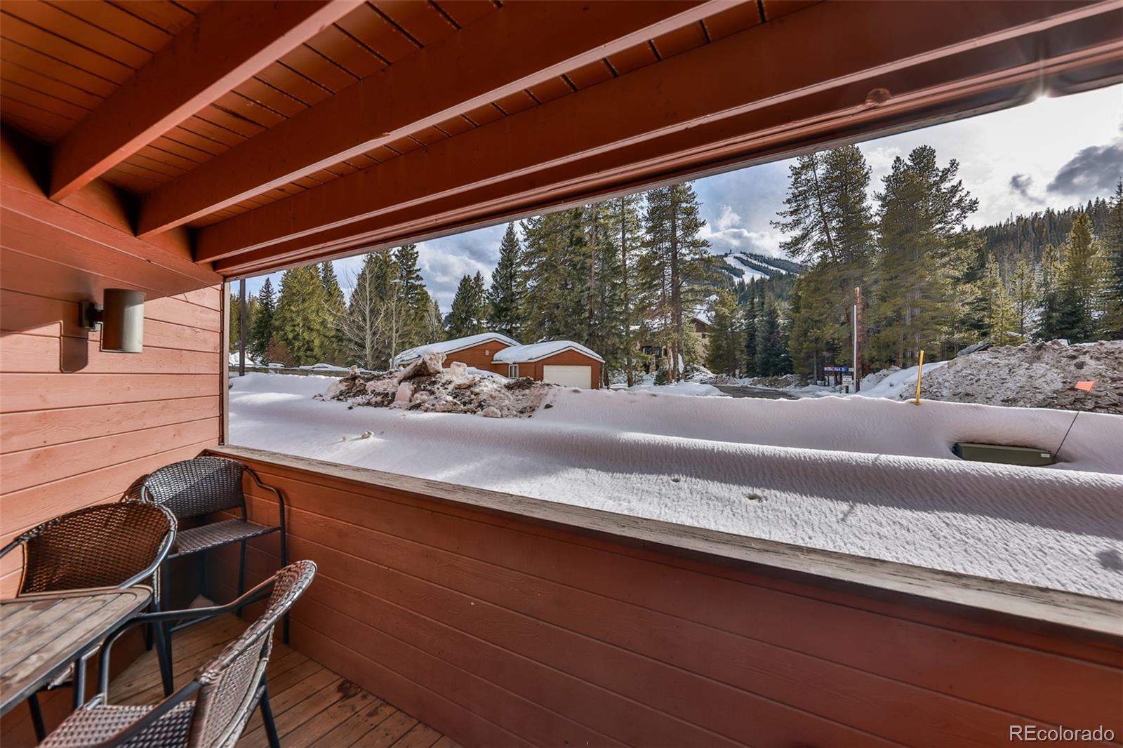 MLS Image #16 for 1080  winter park drive,winter park, Colorado