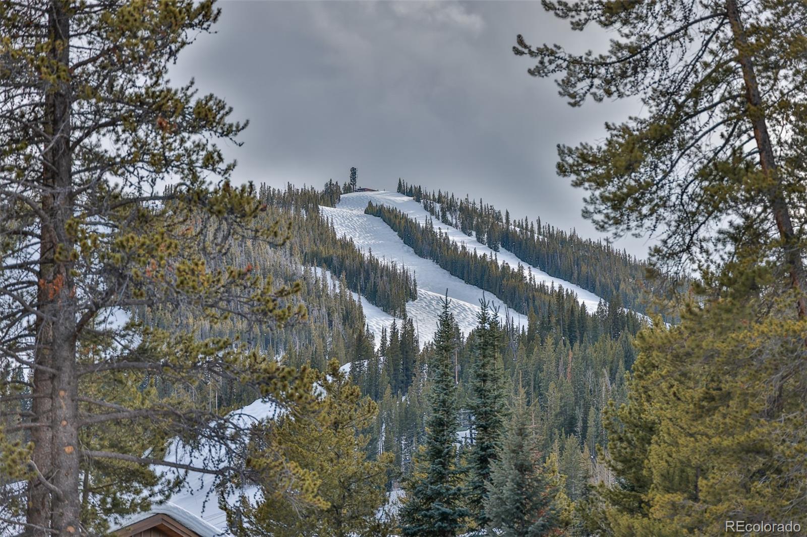 MLS Image #19 for 1080  winter park drive,winter park, Colorado