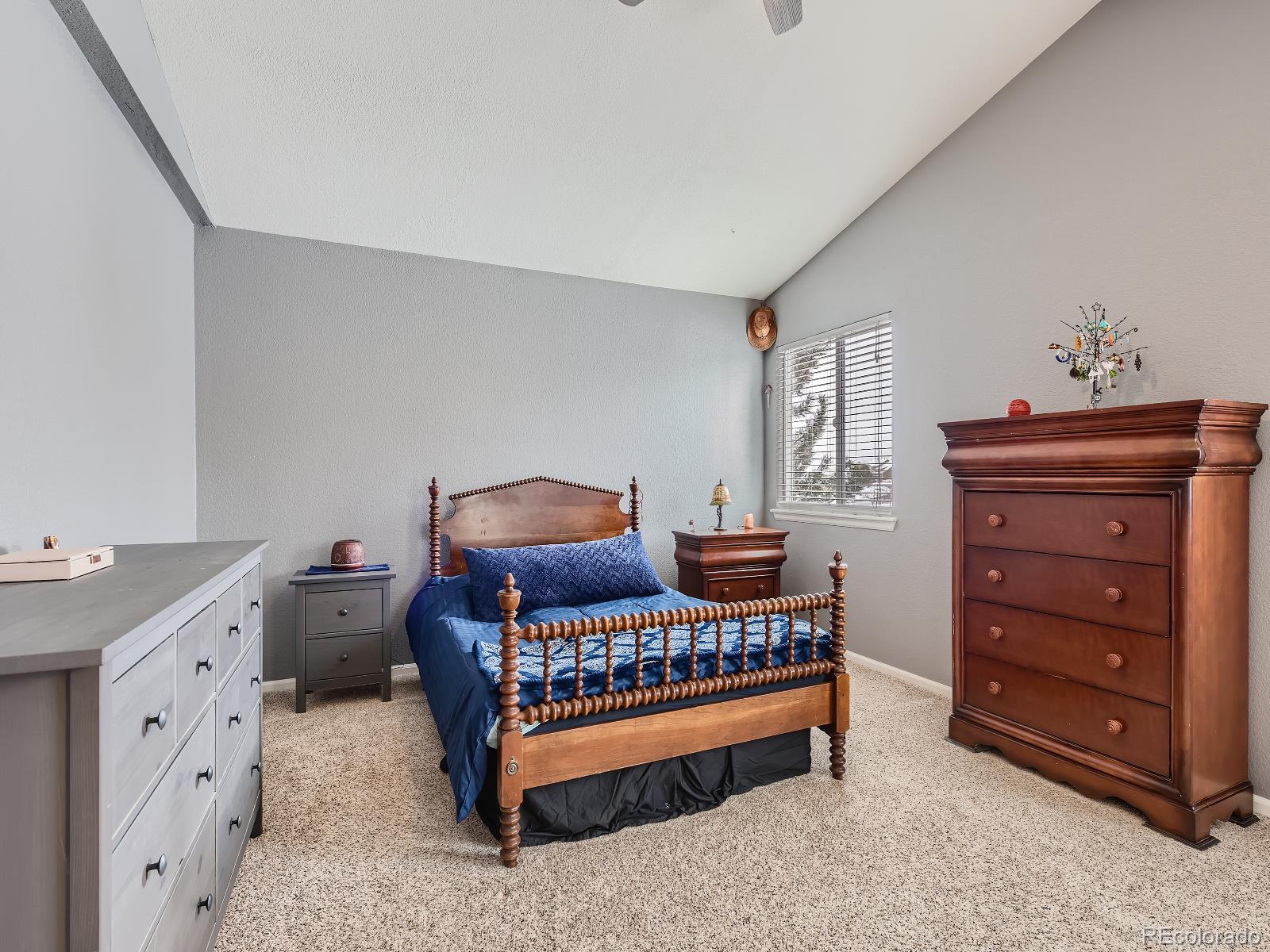 MLS Image #22 for 779  halfmoon drive,castle rock, Colorado