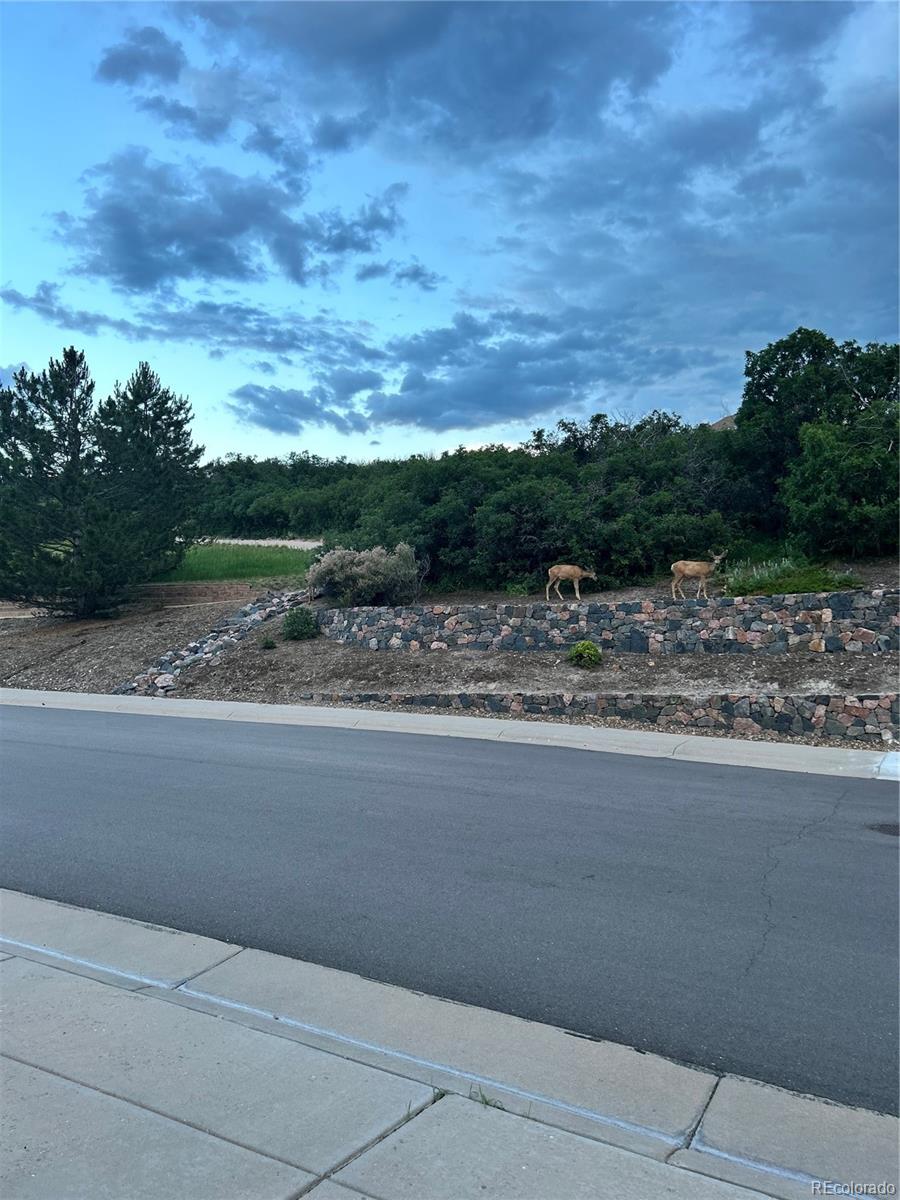 MLS Image #47 for 779  halfmoon drive,castle rock, Colorado